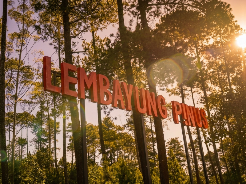 Pesona Lembayung Pinus Ciwidey: Destinasi Glamping di Bawah Pancaran Senja yang Estetik