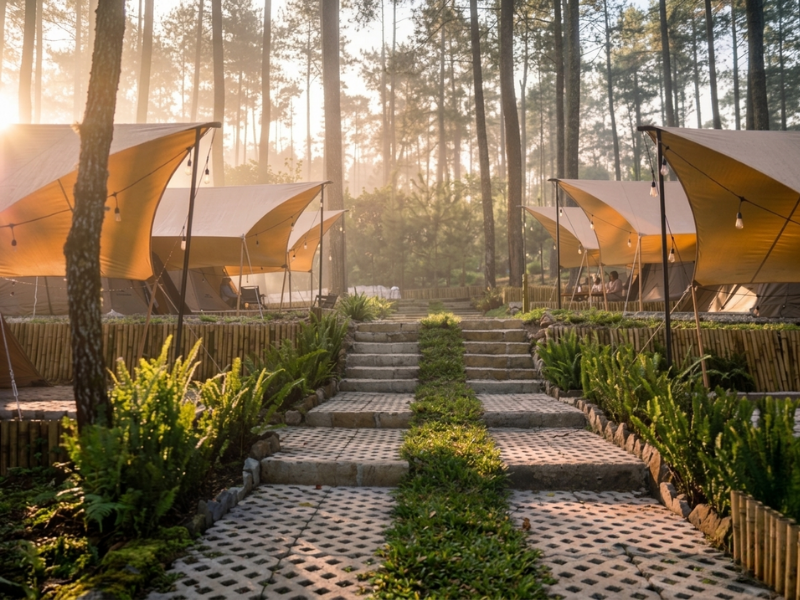 Lembayung Pinus Ciwidey: Destinasi Glamping Estetik dengan Suasana Pagi Memukau di Jantung Hutan Pinus