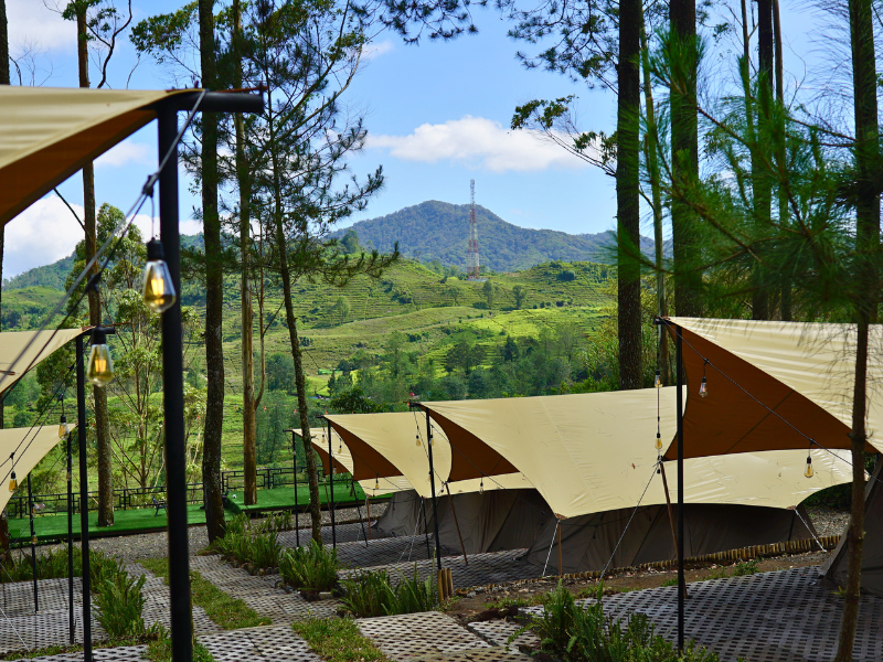 Area Glamping dengan Lanskap Ikonik