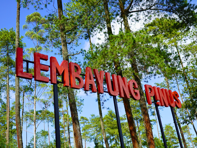 Landmark Lembayung Pinus