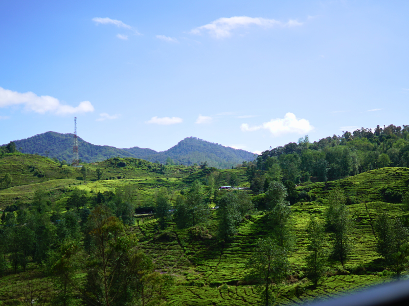 Panorama Bukit Teh dan Langit Biru