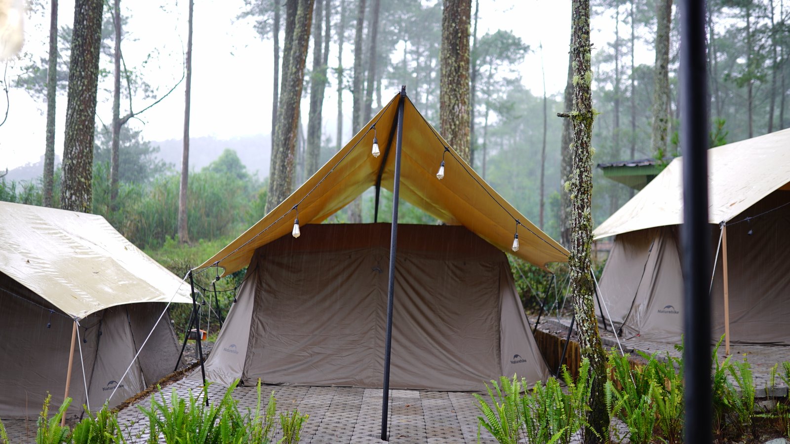 Spot A - Campling Senja