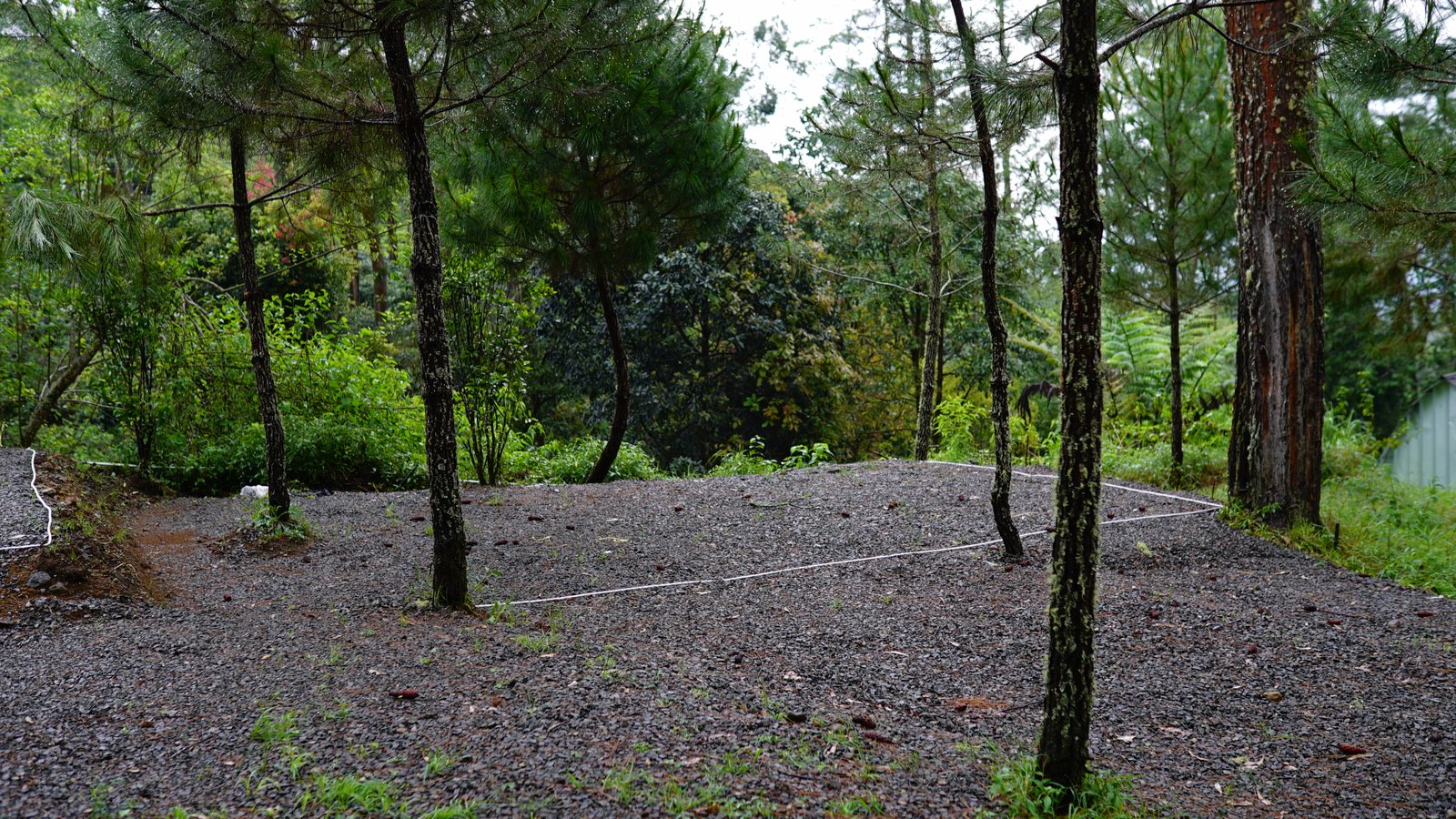 Spot A - Campling Sore