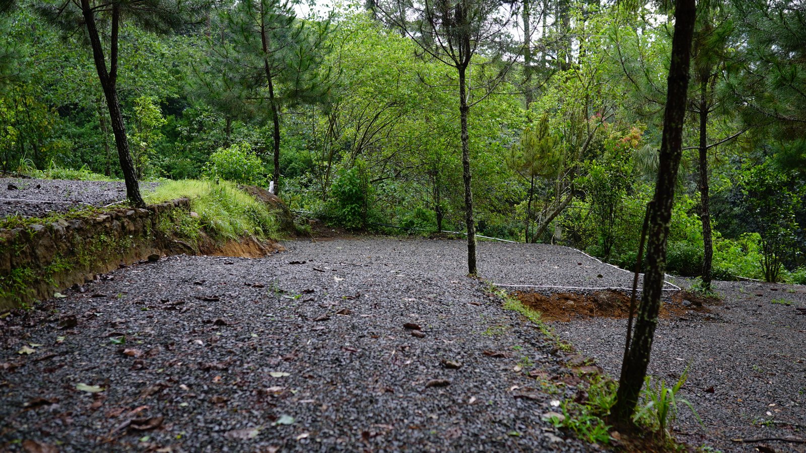 Spot A - Campling Sore