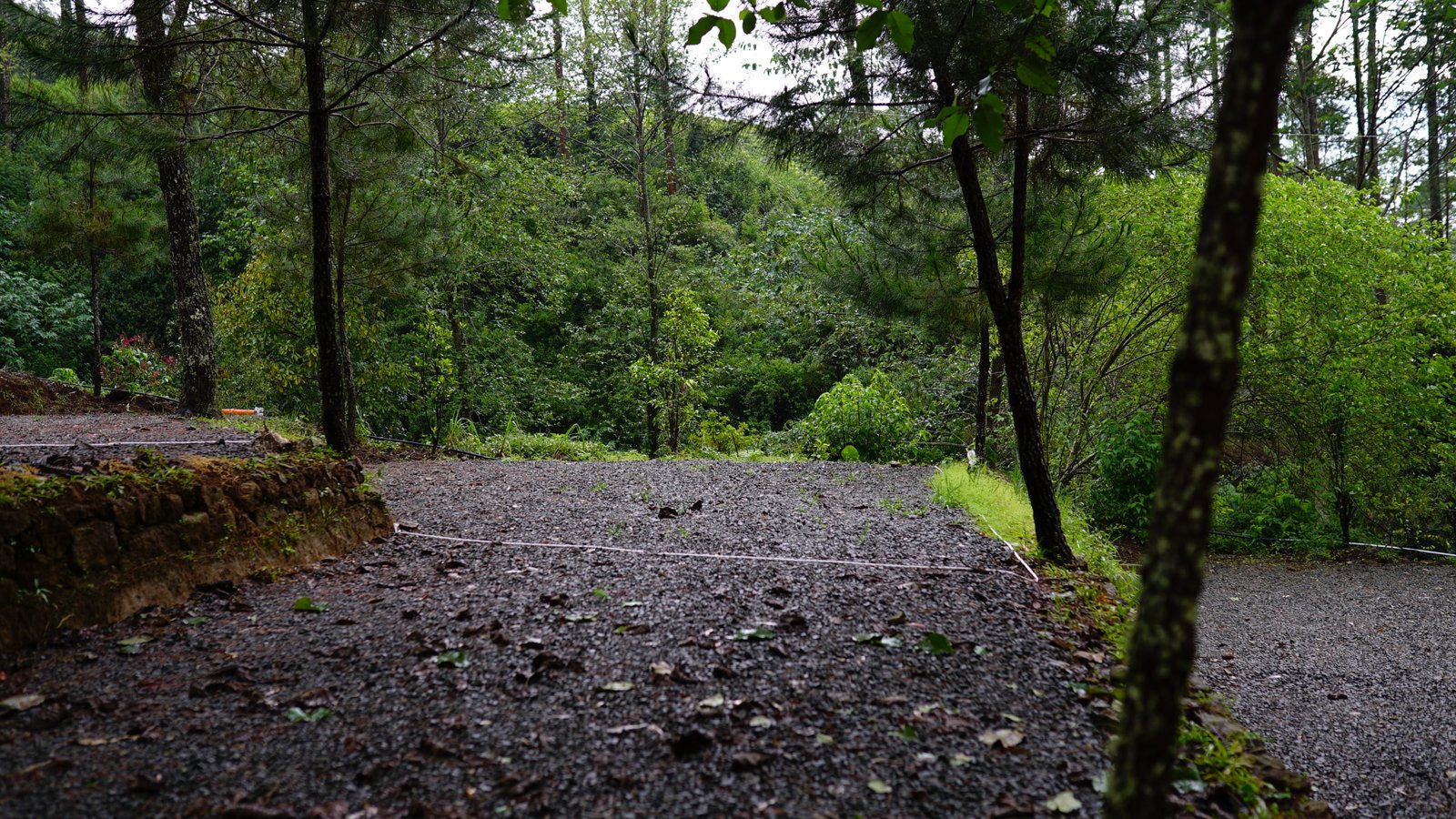 Spot A - Campling Sore