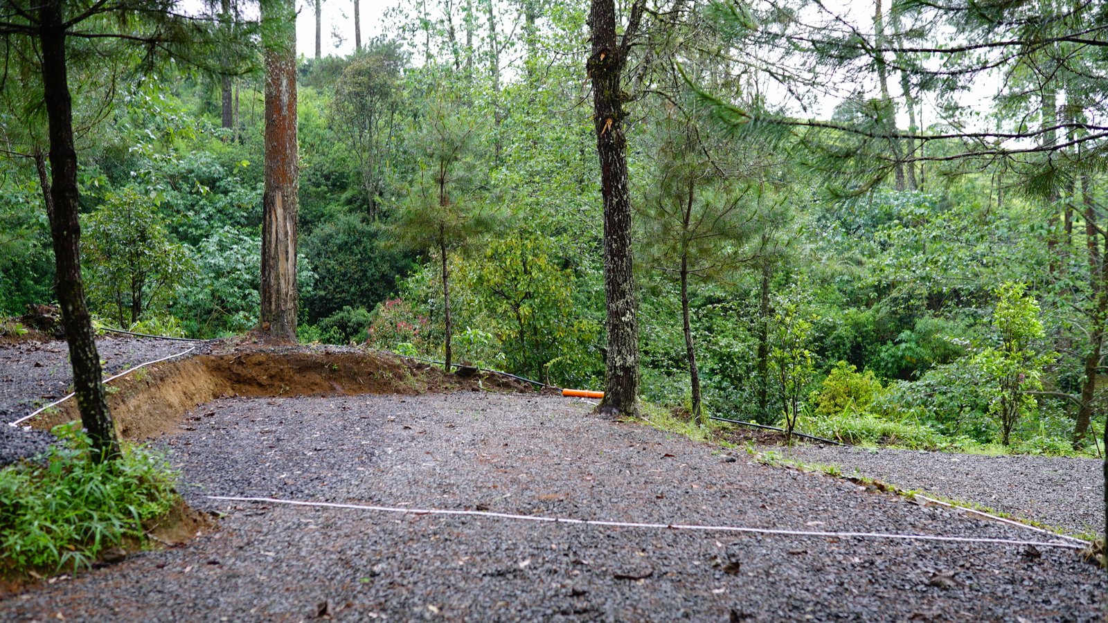 Spot A - Campling Sore