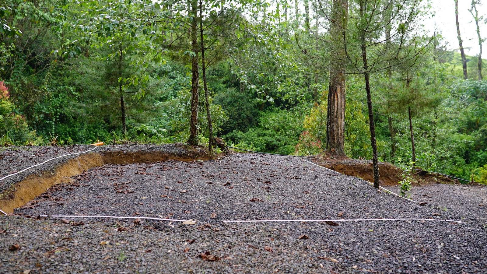 Spot A - Campling Sore