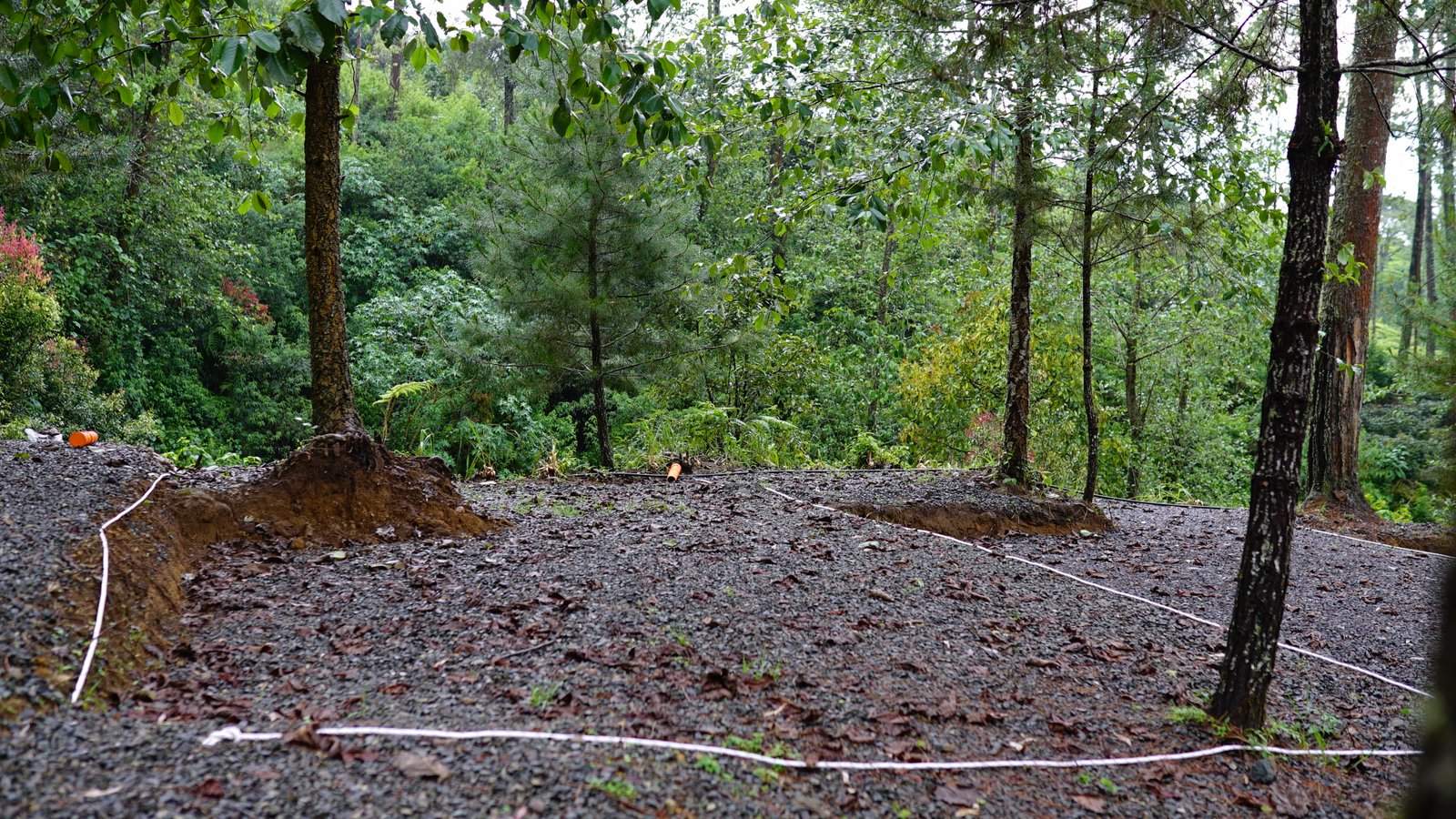 Spot A - Campling Sore