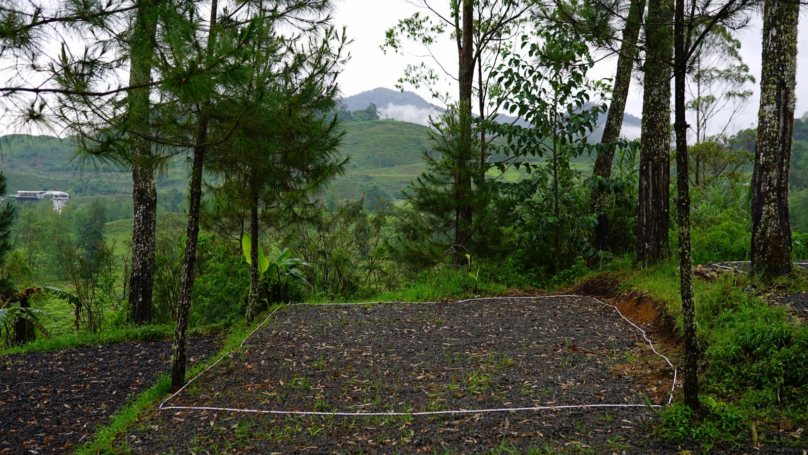 Spot B - Campling Sore