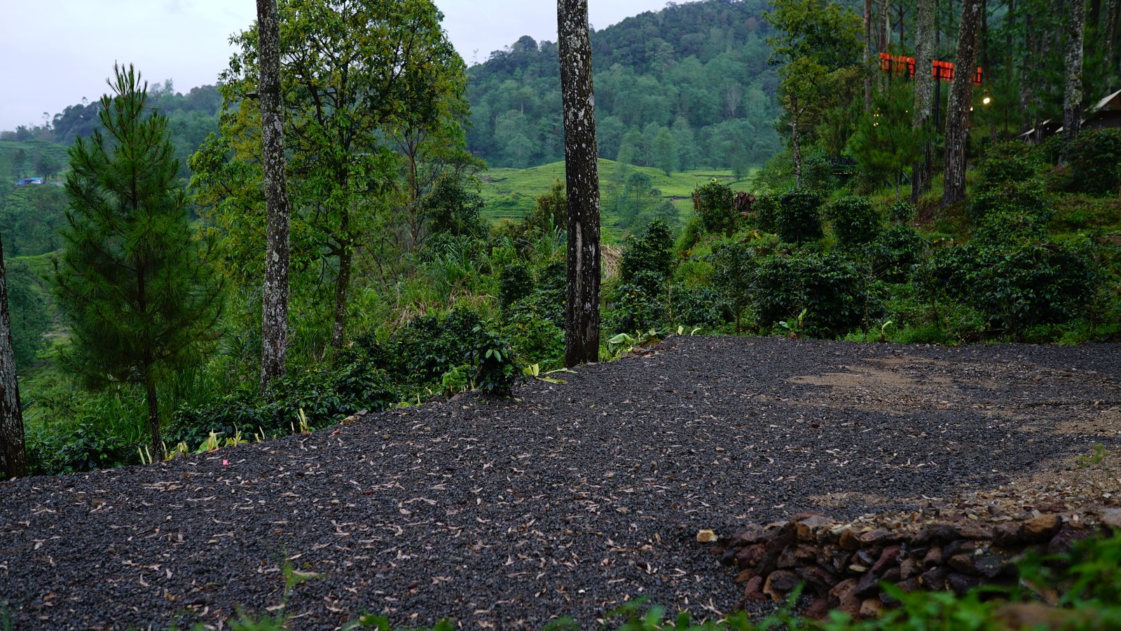 Spot B - Campling Sore