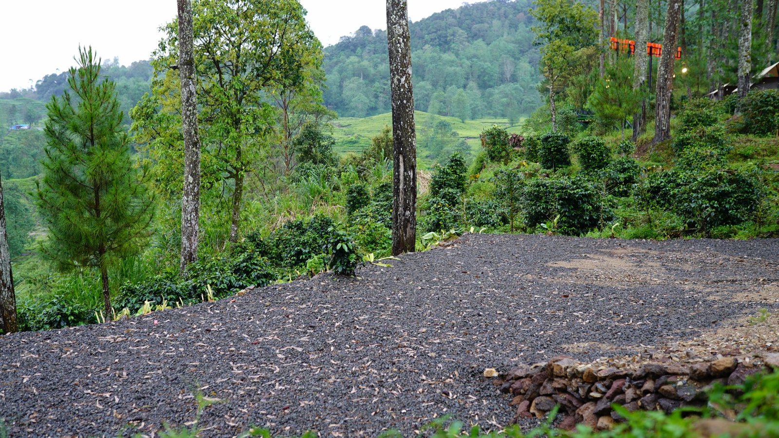 Spot B - Campling Sore