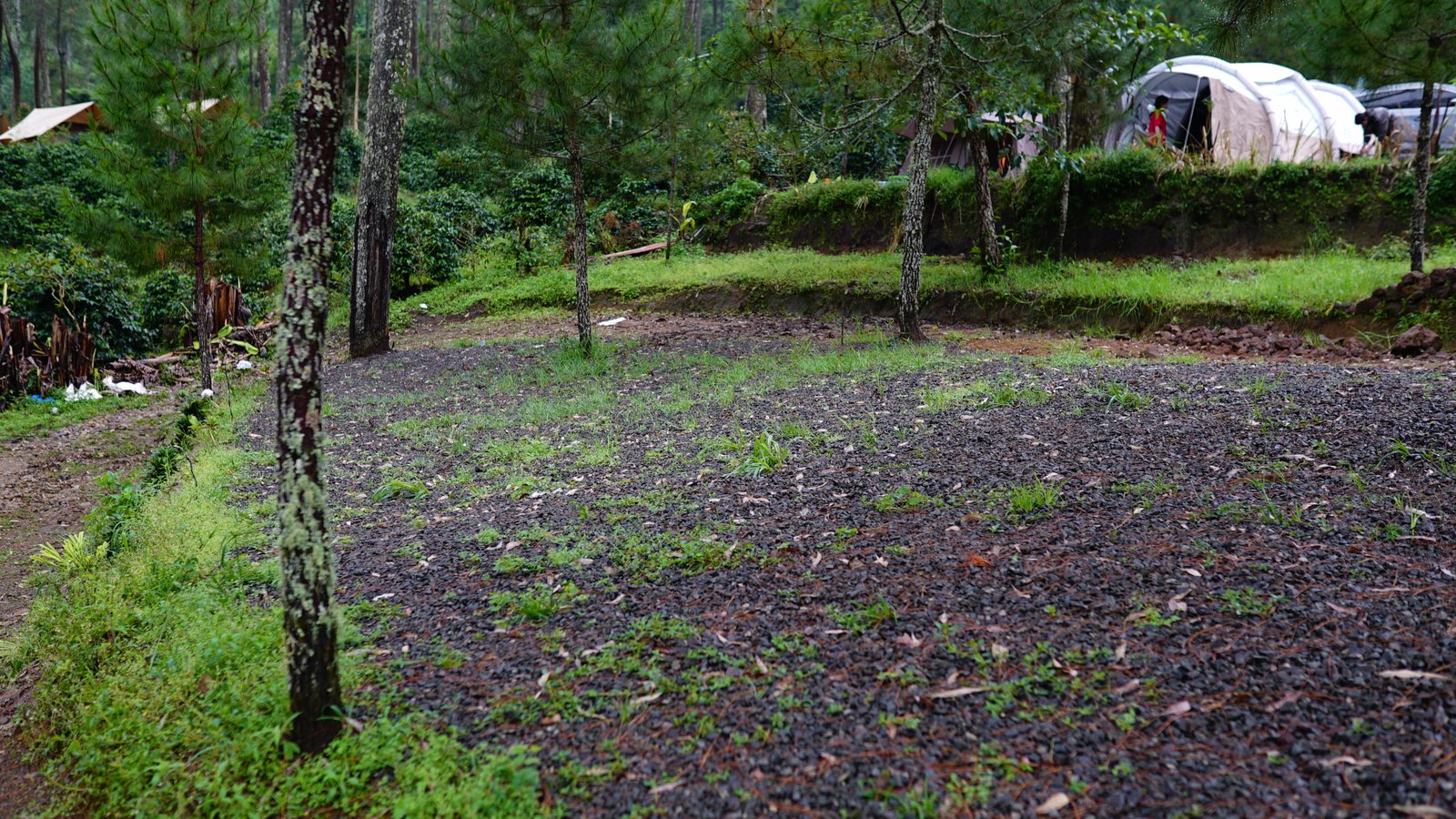 Spot B - Campling Sore