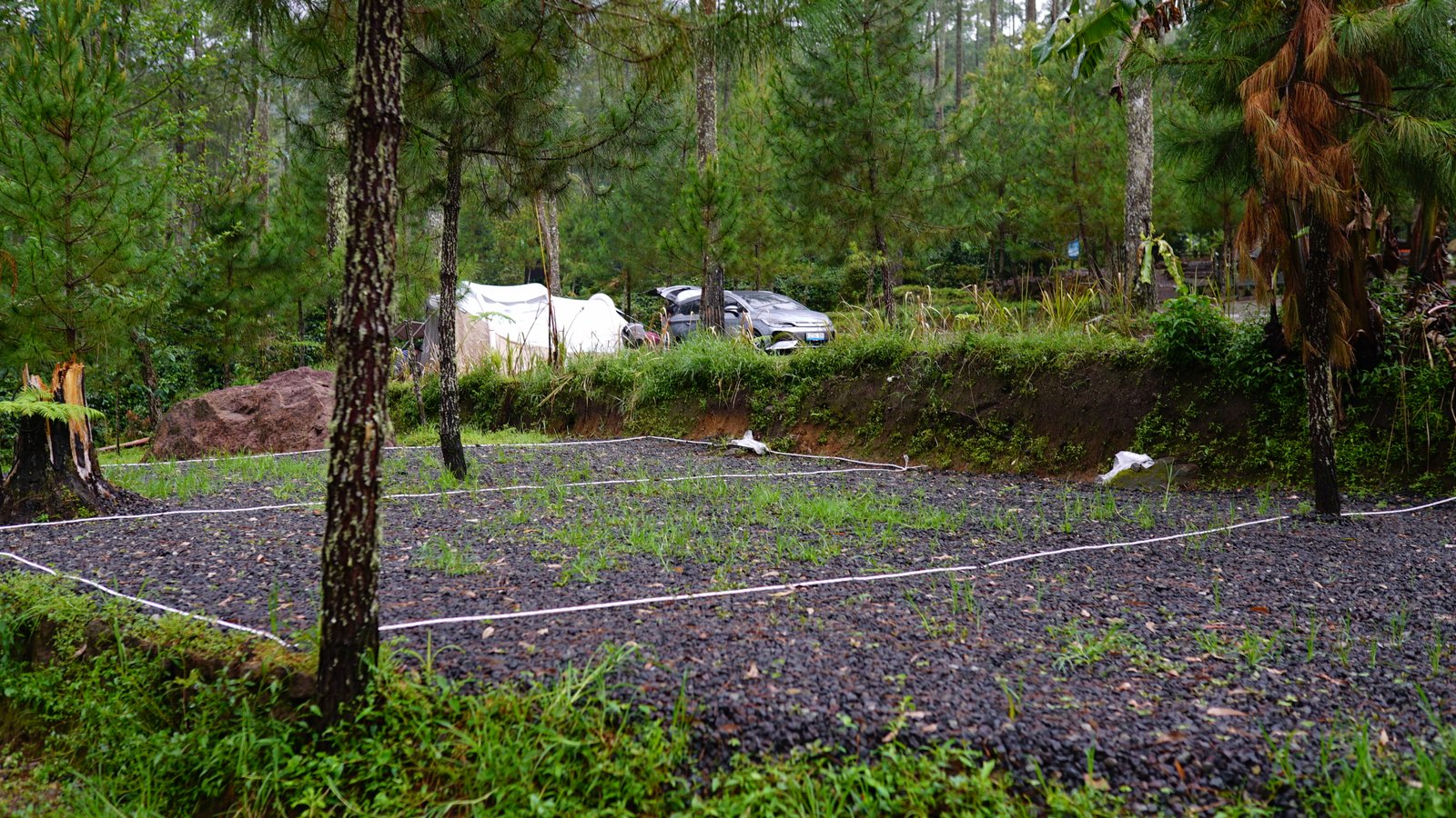 Spot B - Campling Sore