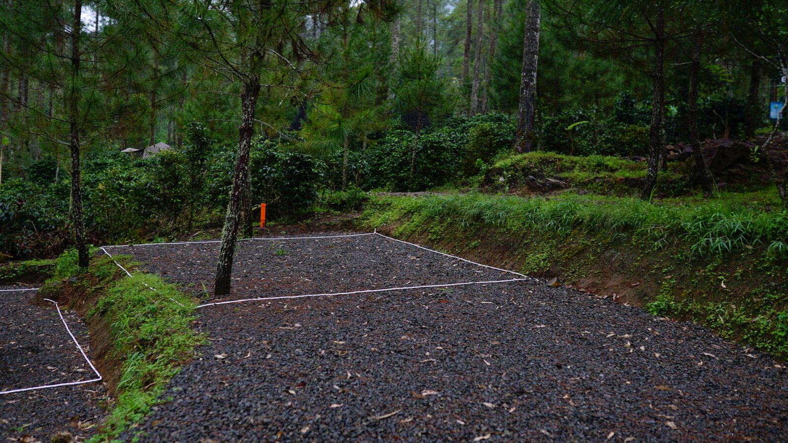 Spot B - Campling Sore