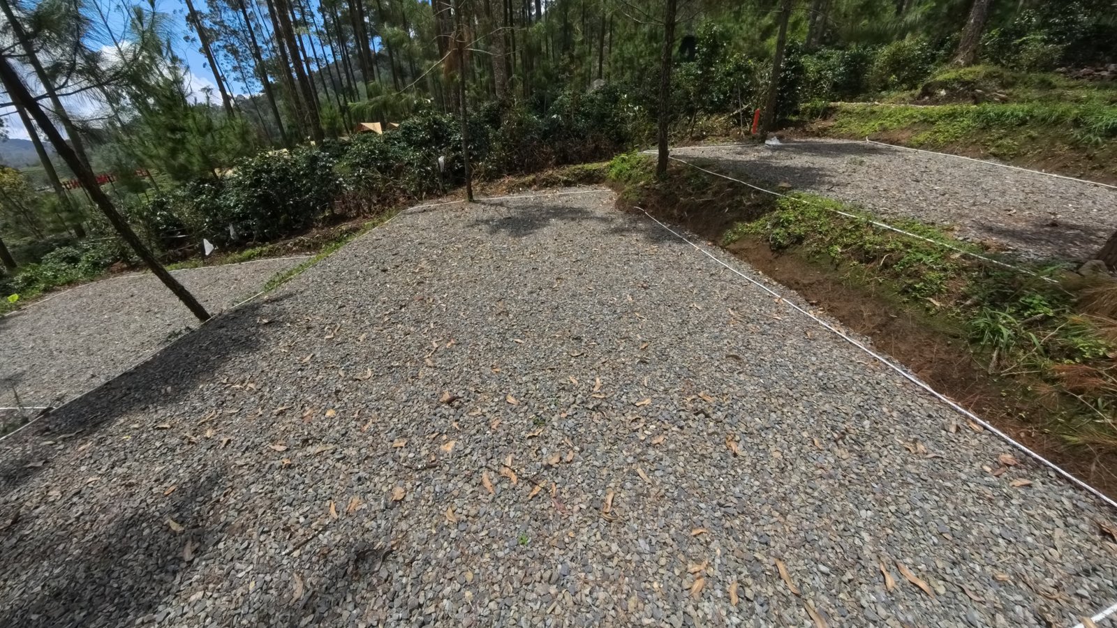 Spot B - Campling Sore